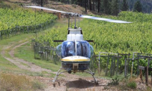 Helicopter vineyard