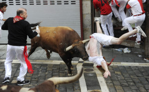Pamplona bulls